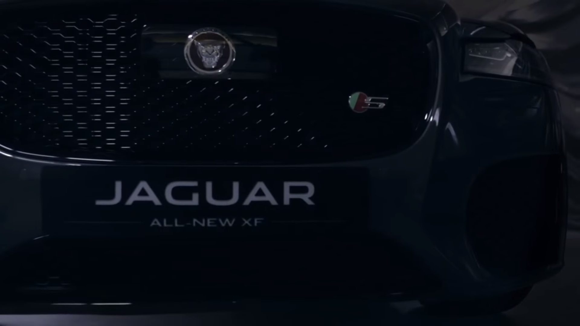 jaguar 1.png