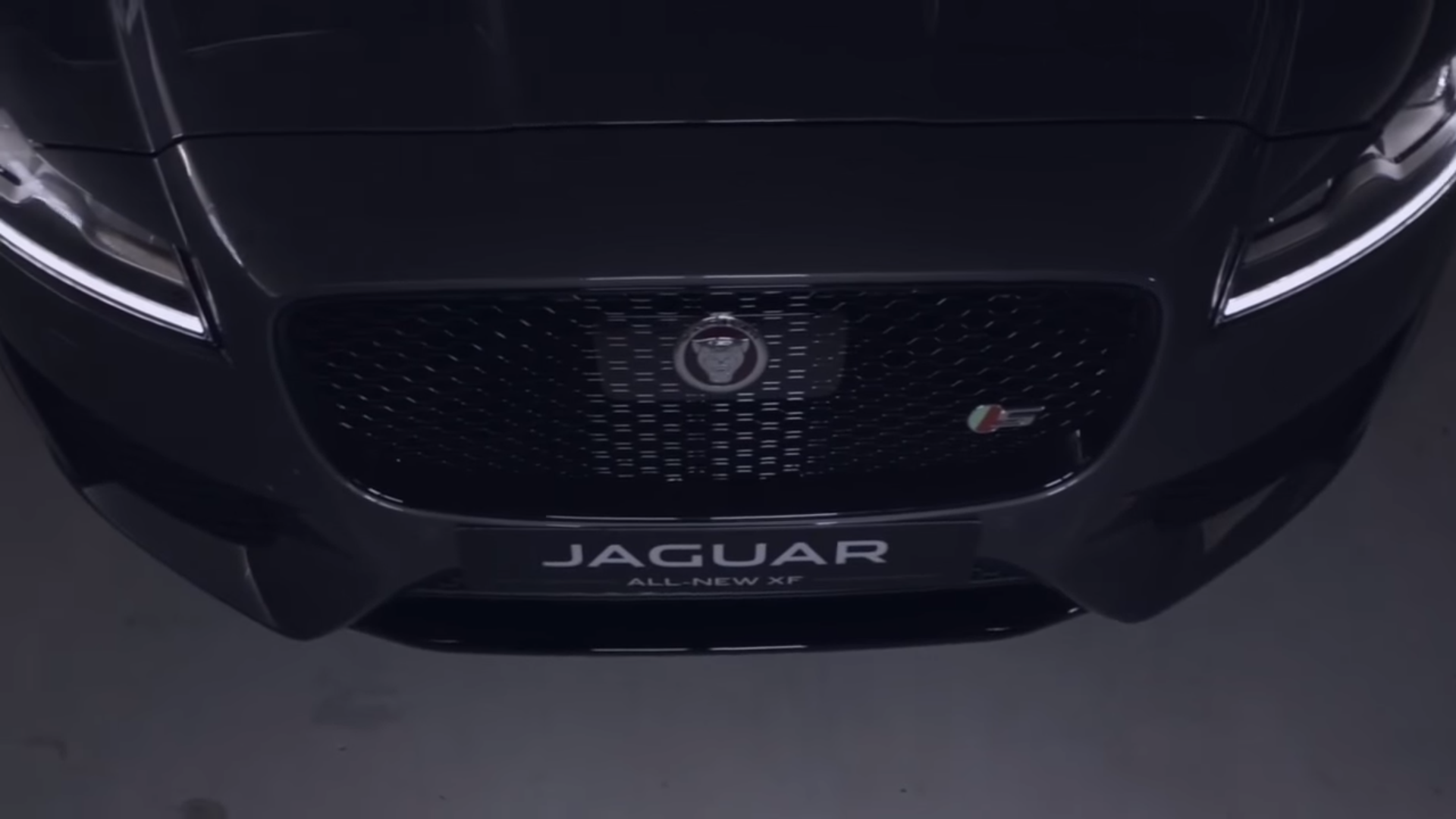 jaguar.png